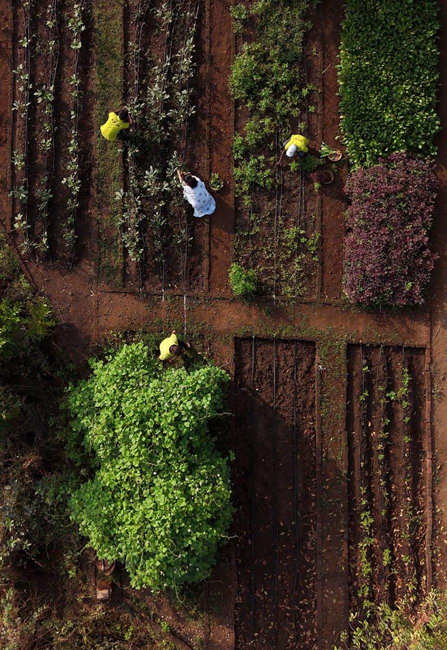FARMING_894X1300.jpg