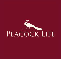 Peacock life logo